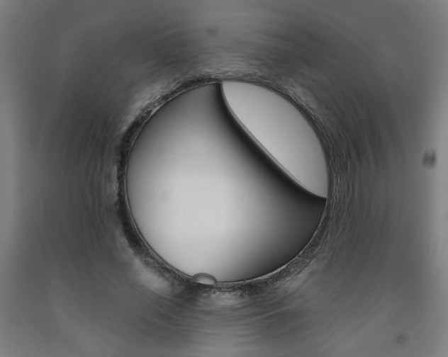 X0000093240638200709261530