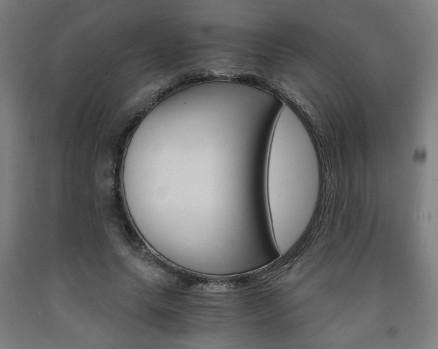 X0000093240639200709261530
