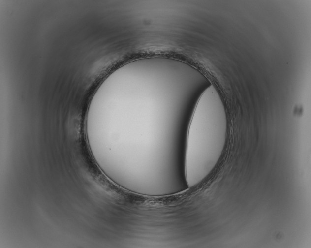 X0000093240640200709261531