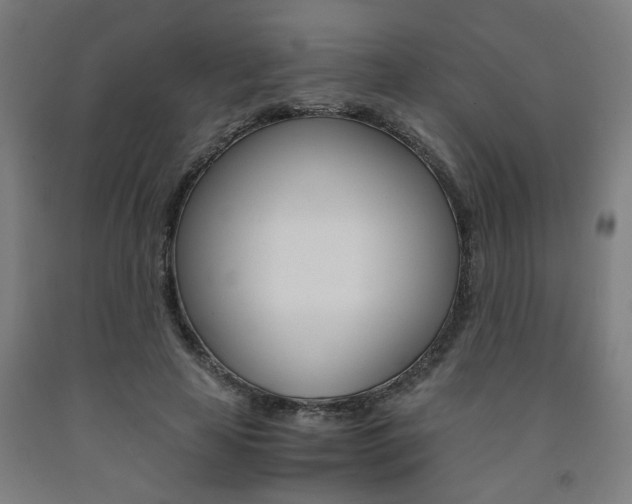 X0000093240641200709261531
