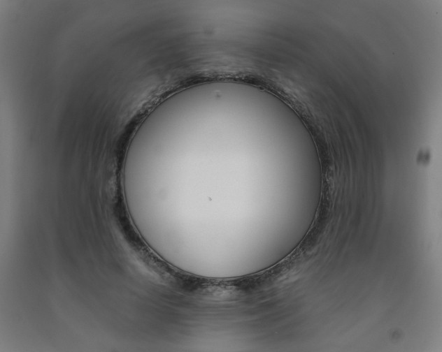 X0000093240642200709261531