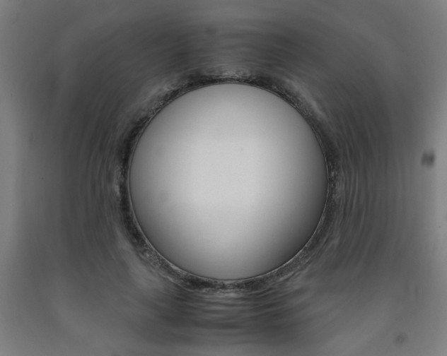 X0000093240643200709261531