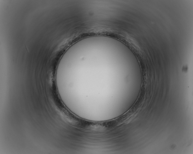X0000093240644200709261531