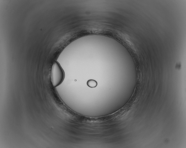 X0000093240645200709261531