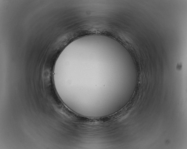 X0000093240646200709261531