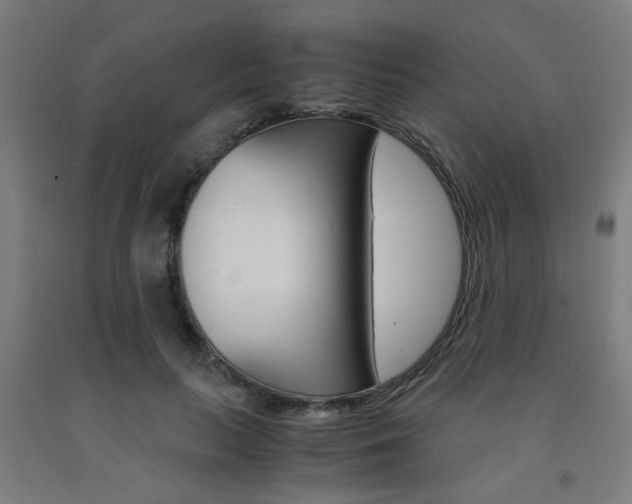 X0000093240647200709261531