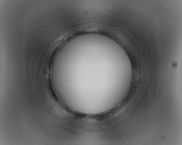 X0000093240648200709261531