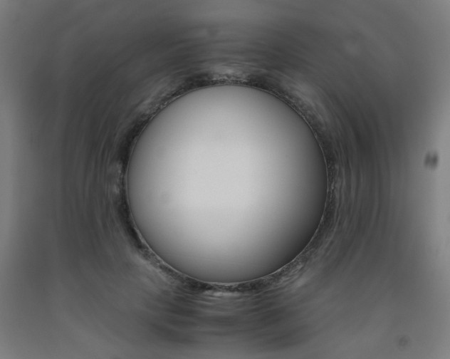 X0000093240649200709261531