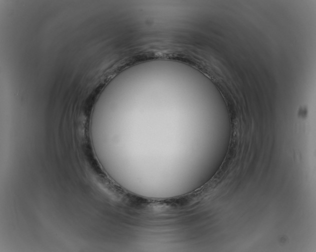 X0000093240650200709261531