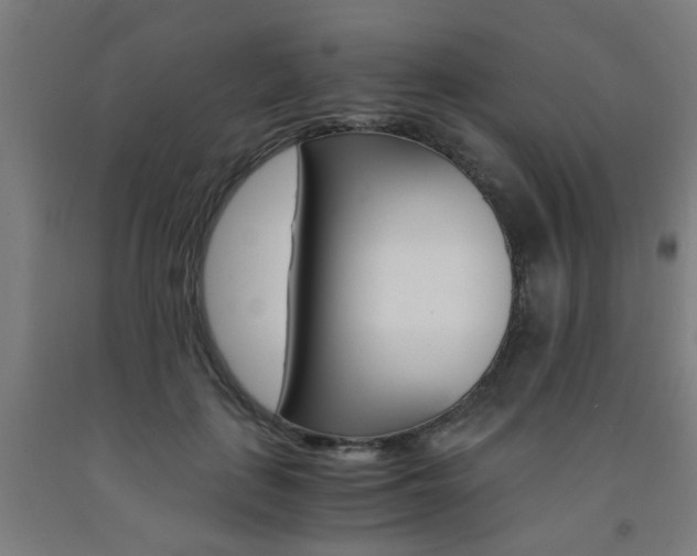 X0000093240651200709261531