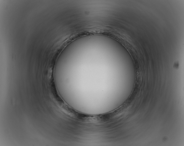 X0000093240652200709261531