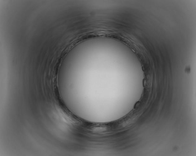 X0000093240653200709261531