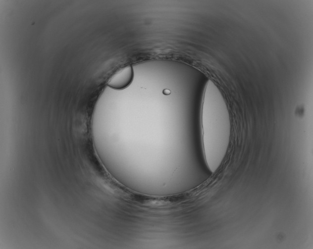 X0000093240654200709261531