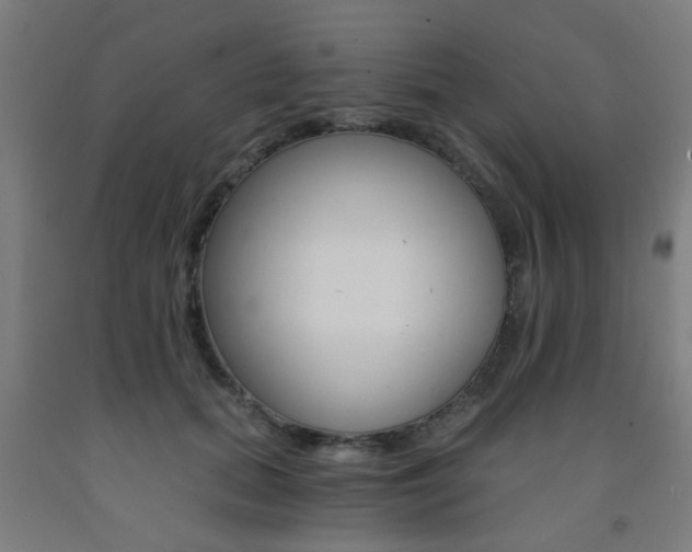 X0000093240655200709261531