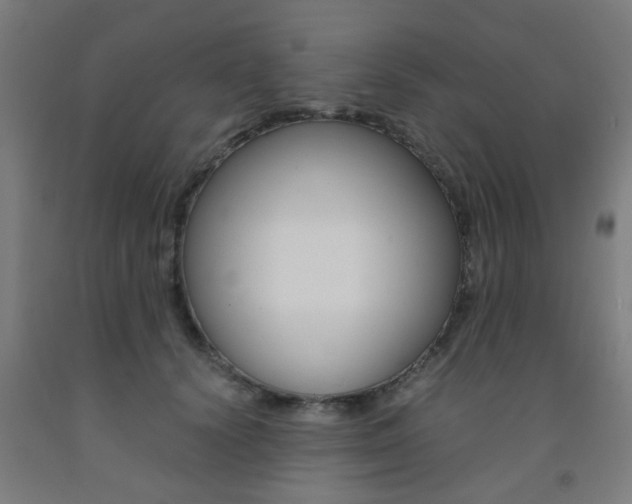 X0000093240656200709261531