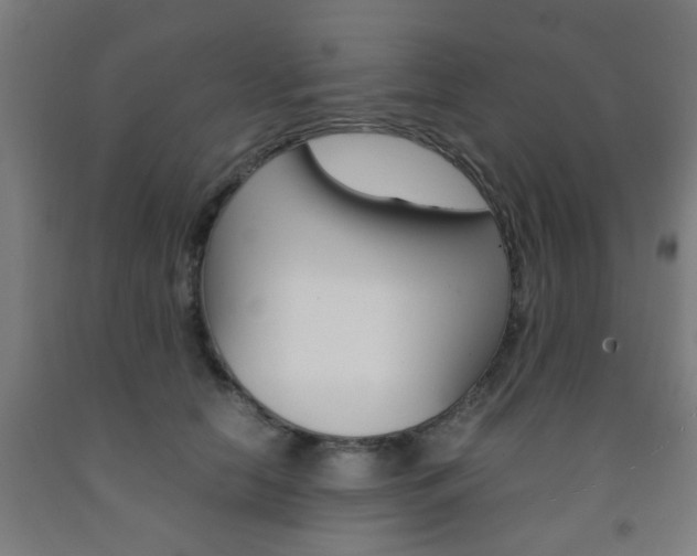 X0000093240658200709261531