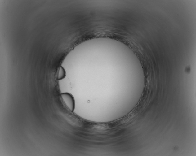 X0000093240659200709261531