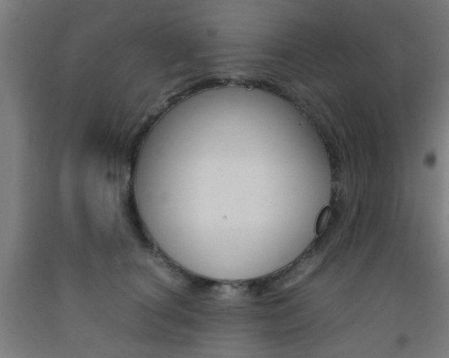 X0000093240660200709261531