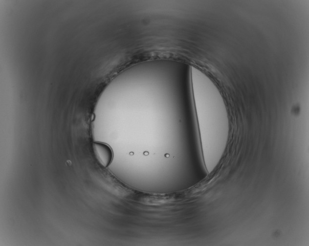 X0000093240661200709261531
