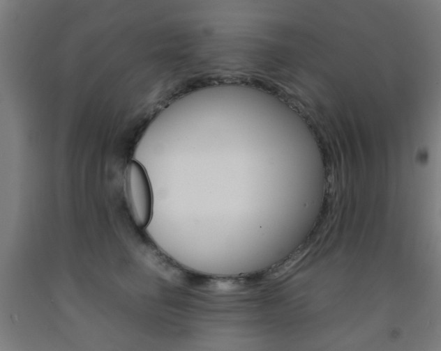 X0000093240662200709261531