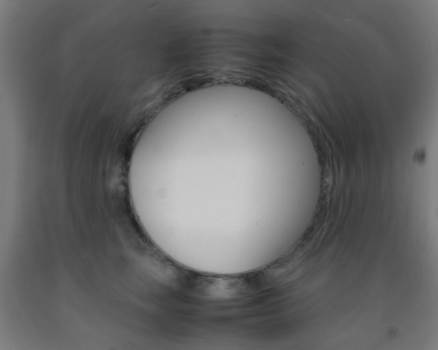 X0000093240663200709261531