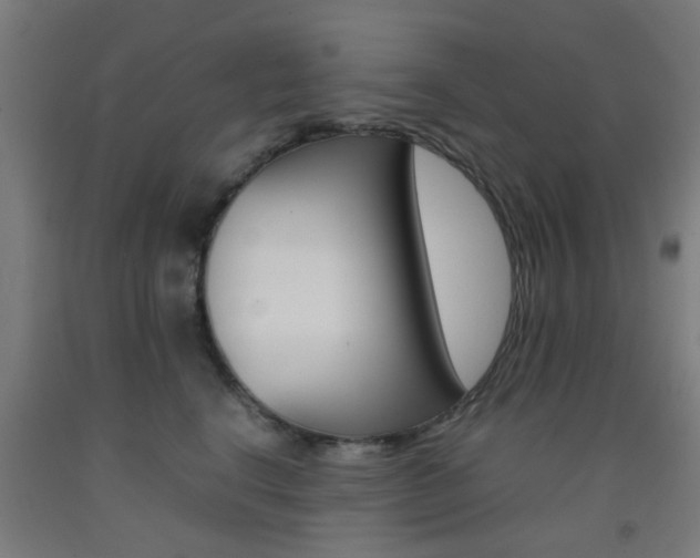 X0000093240664200709261531