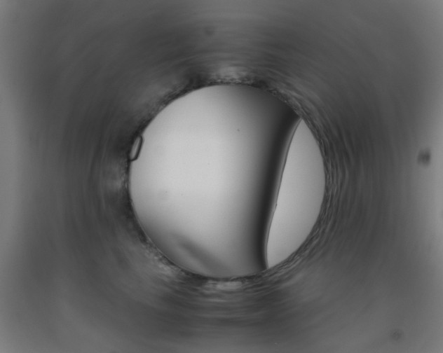 X0000093240665200709261531