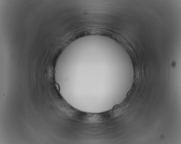 X0000093240667200709261531