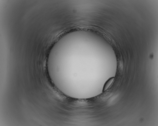 X0000093240668200709261531