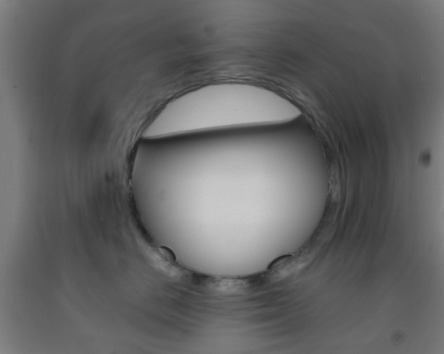 X0000093240670200709261531