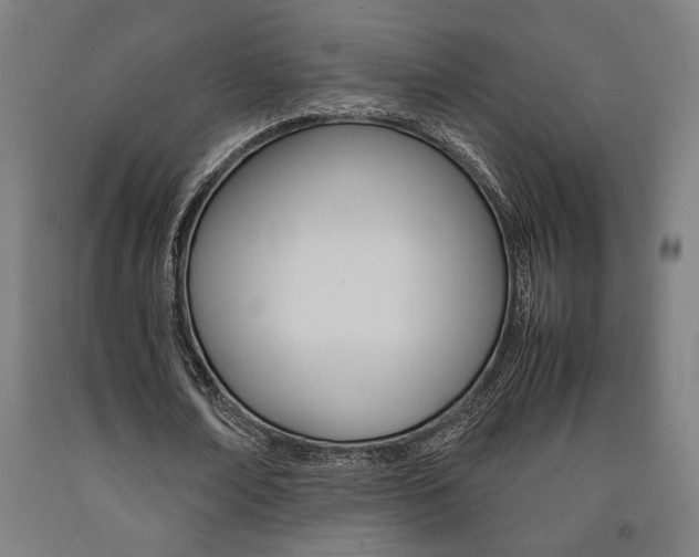 X0000093240674200709261530