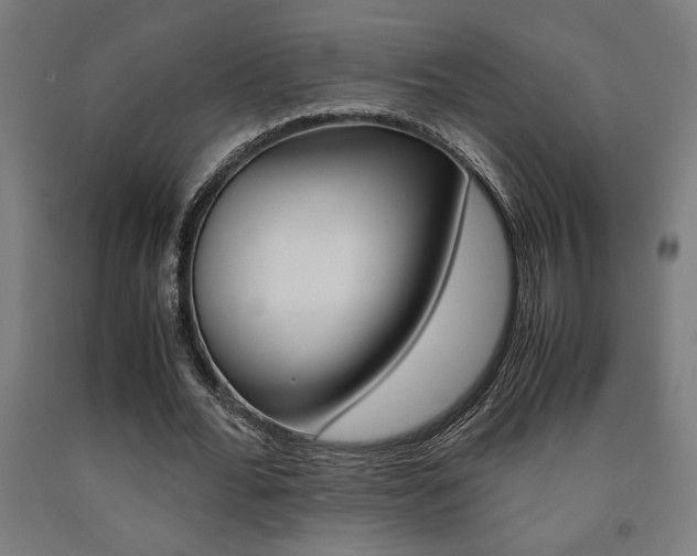 X0000093240676200709261530