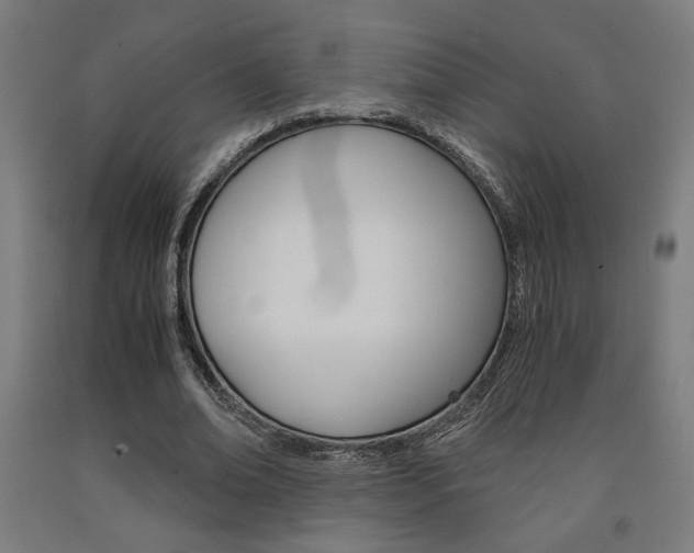 X0000093240678200709261530