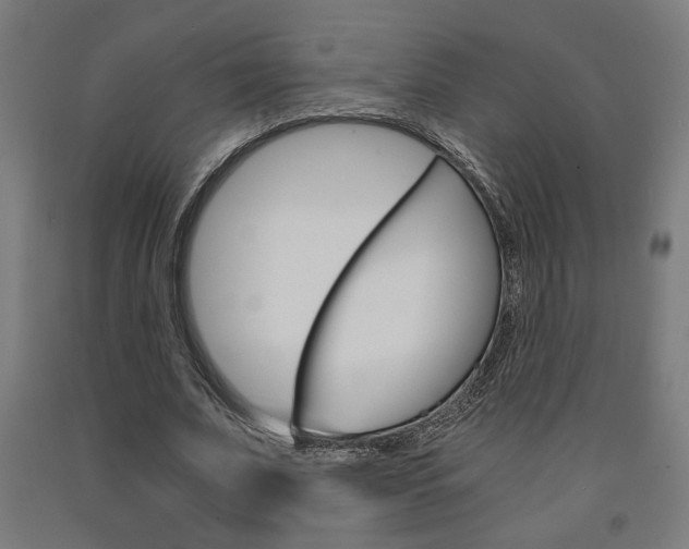 X0000093240679200709261530