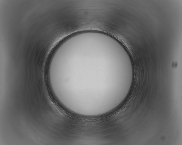 X0000093240680200709261530