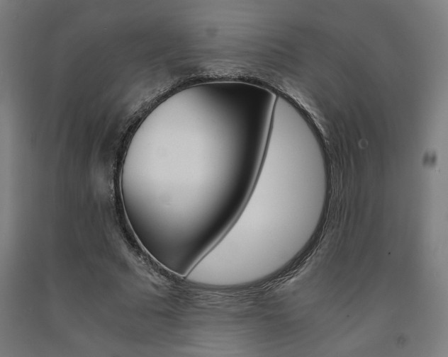 X0000093240681200709261530