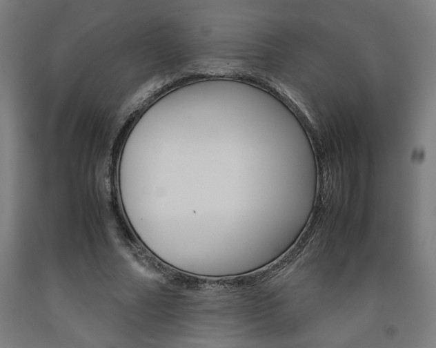 X0000093240682200709261530