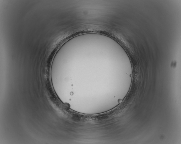 X0000093240683200709261530