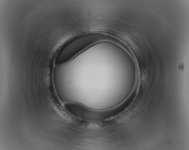 X0000093240684200709261530