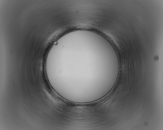 X0000093240686200709261530