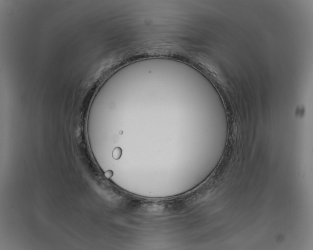 X0000093240687200709261530