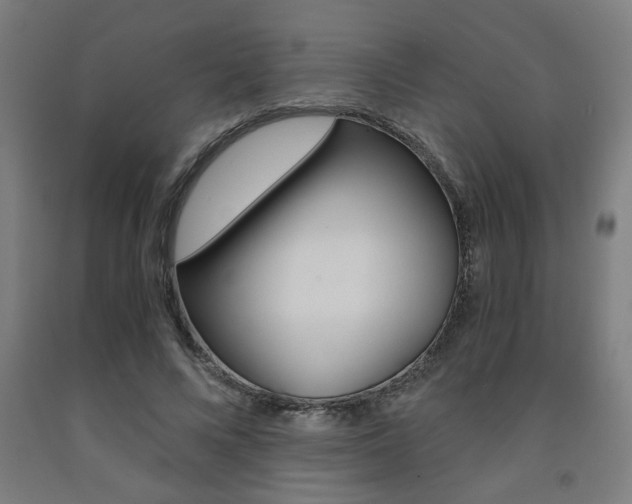X0000093240688200709261530