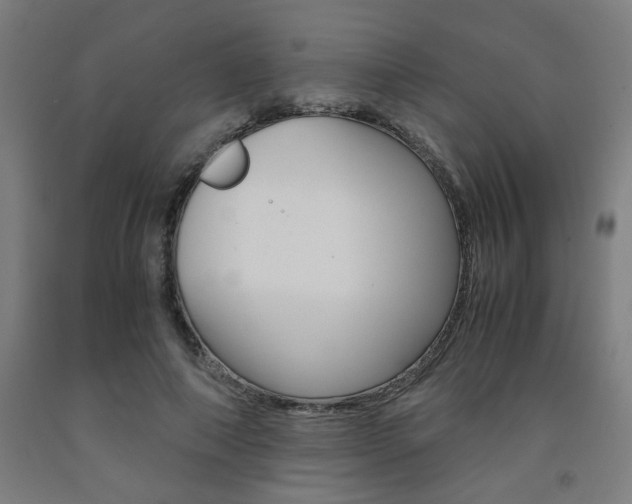 X0000093240690200709261530