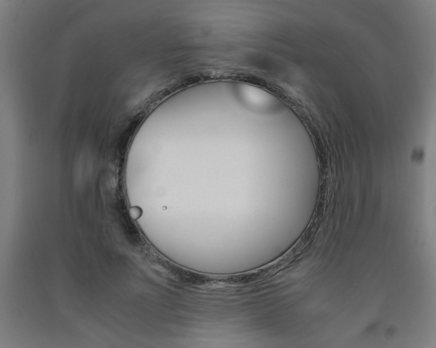 X0000093240691200709261530