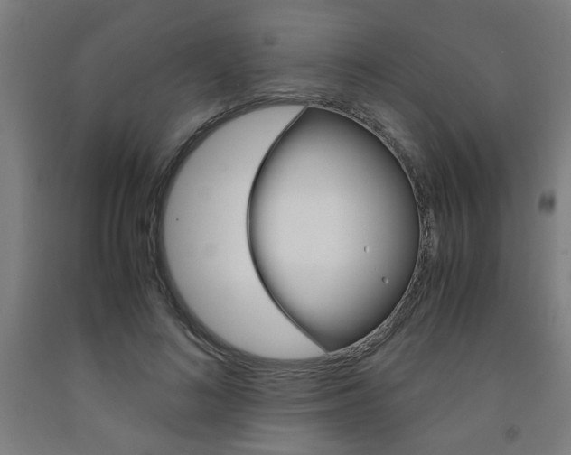 X0000093240692200709261530