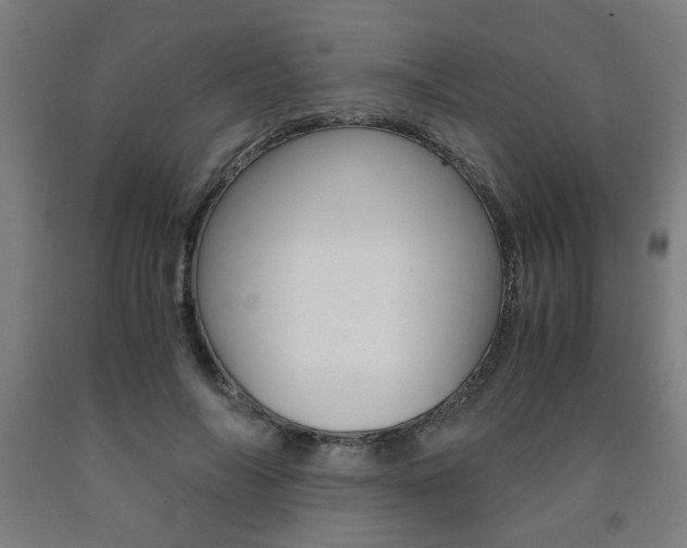 X0000093240694200709261530
