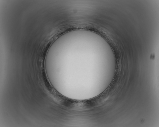 X0000093240695200709261530
