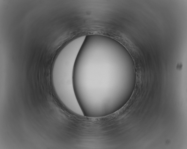 X0000093240696200709261530