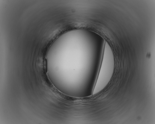 X0000093240700200709261530
