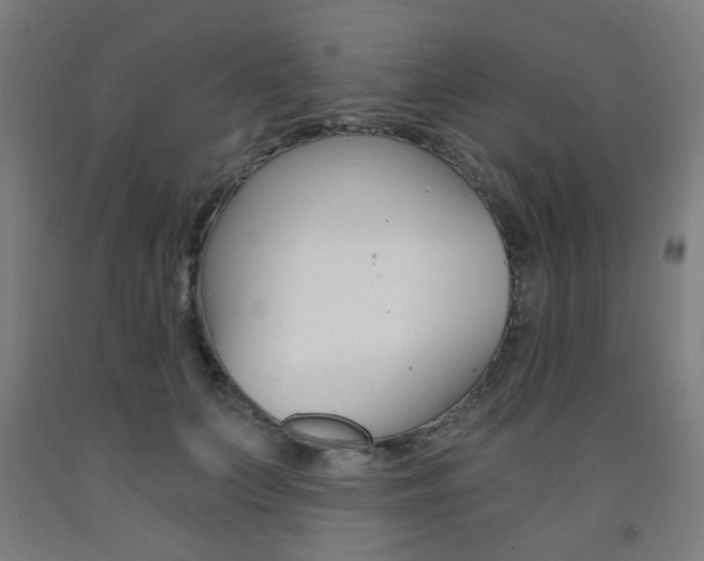X0000093240703200709261530